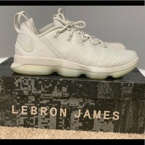 LEBRON XIV LOW